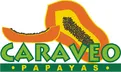 Caraveo